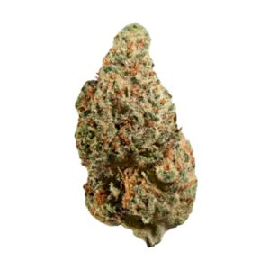 Project Sherbert Popcorn Flower